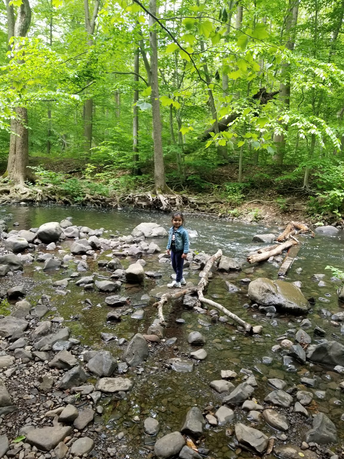 5-best-kid-friendly-hiking-trails-in-nj-lens-and-sunscreen